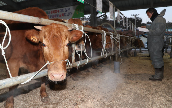 [오늘의 날씨] 대전·충남(16일, 월)…아침 기온 -5도↓