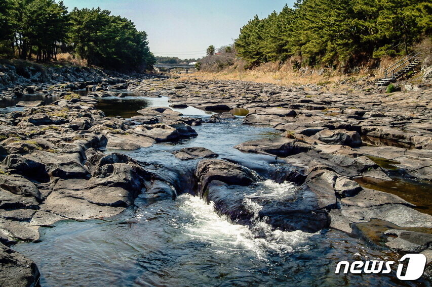 본문 이미지 - 제주 서귀포시 강정천은 제주에 몇 안되는 유수하천이다. / News1 DB