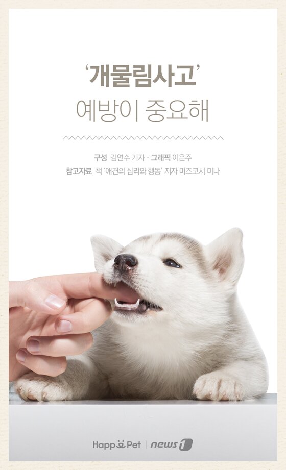 본문 이미지 -  