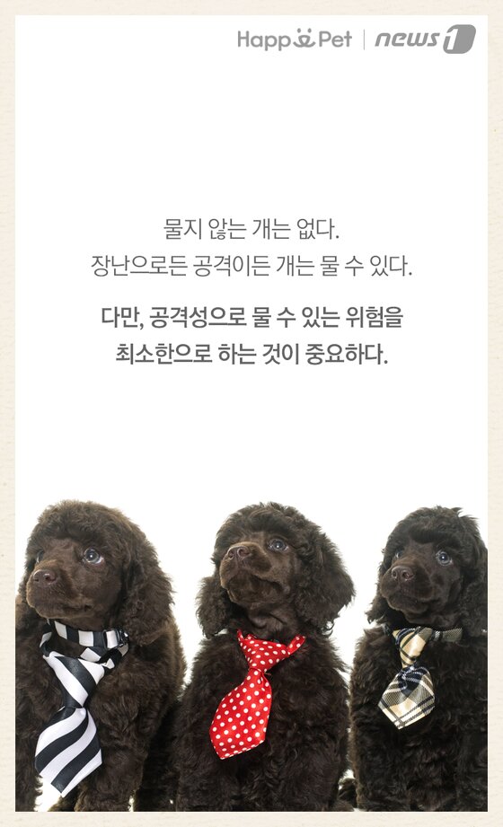본문 이미지 -  