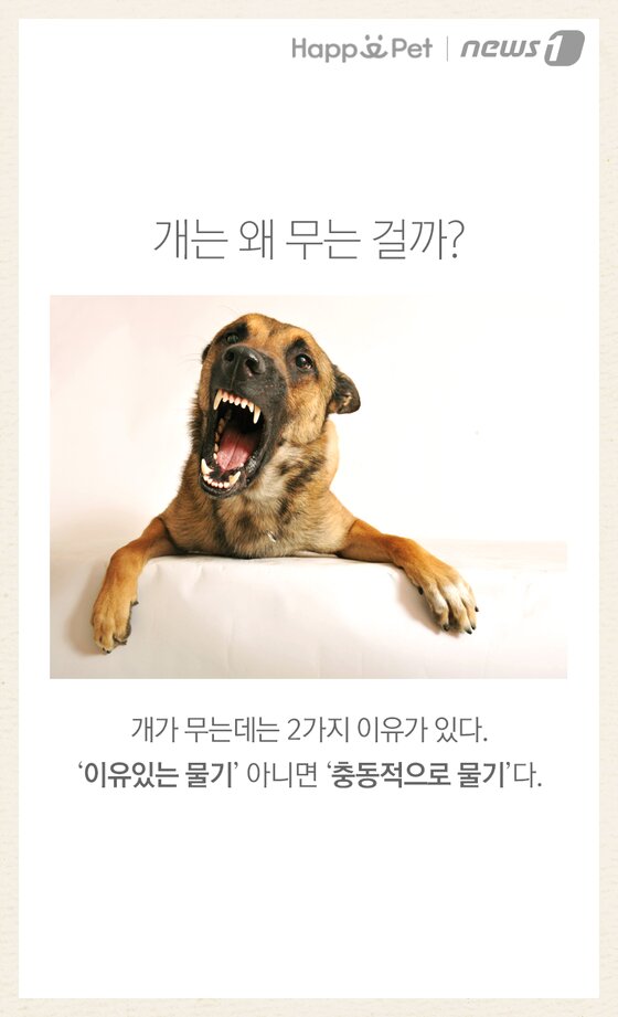본문 이미지 -  