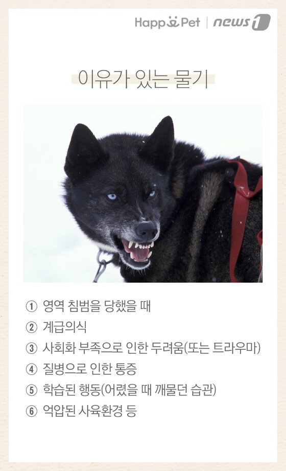 본문 이미지 -  