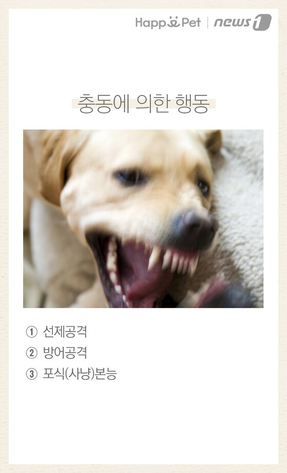 본문 이미지 -  