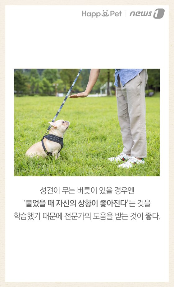본문 이미지 -  