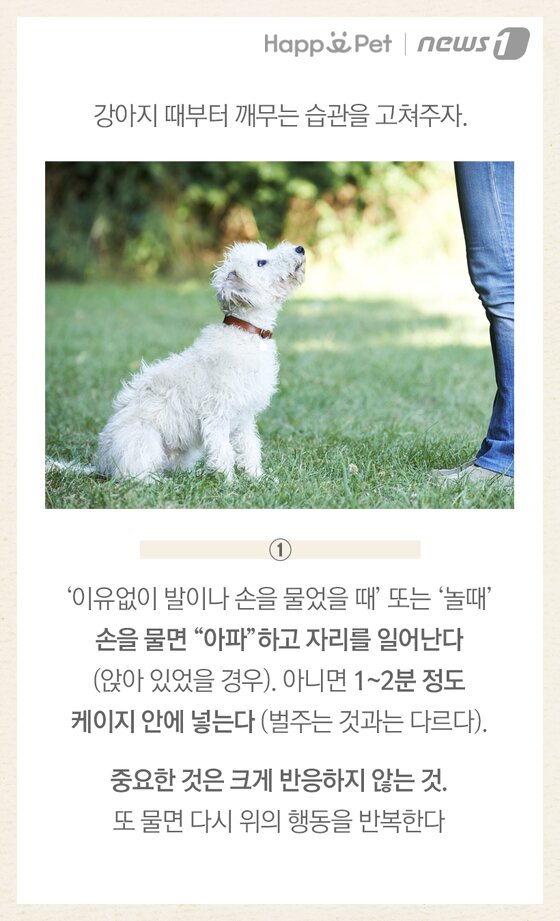 본문 이미지 -  