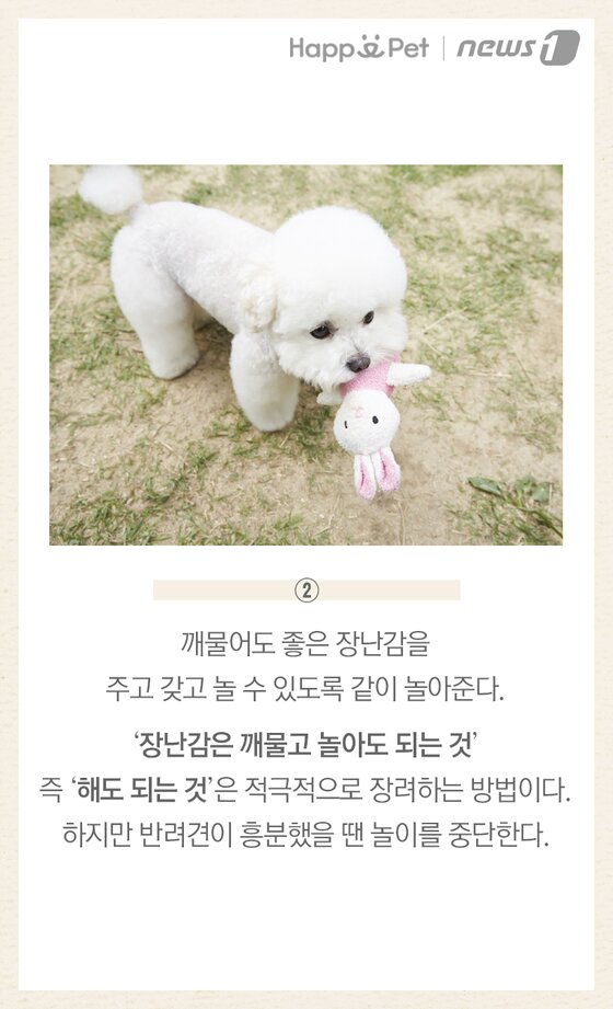 본문 이미지 -  