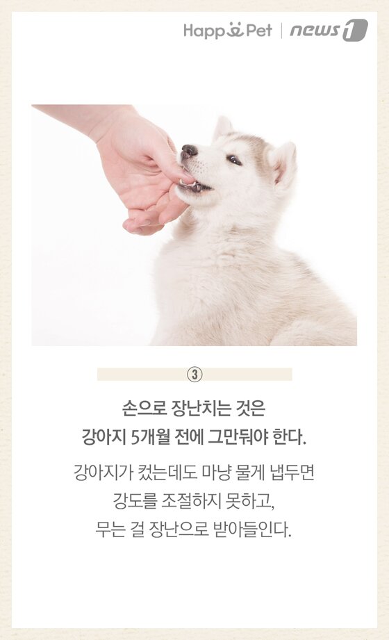 본문 이미지 -  