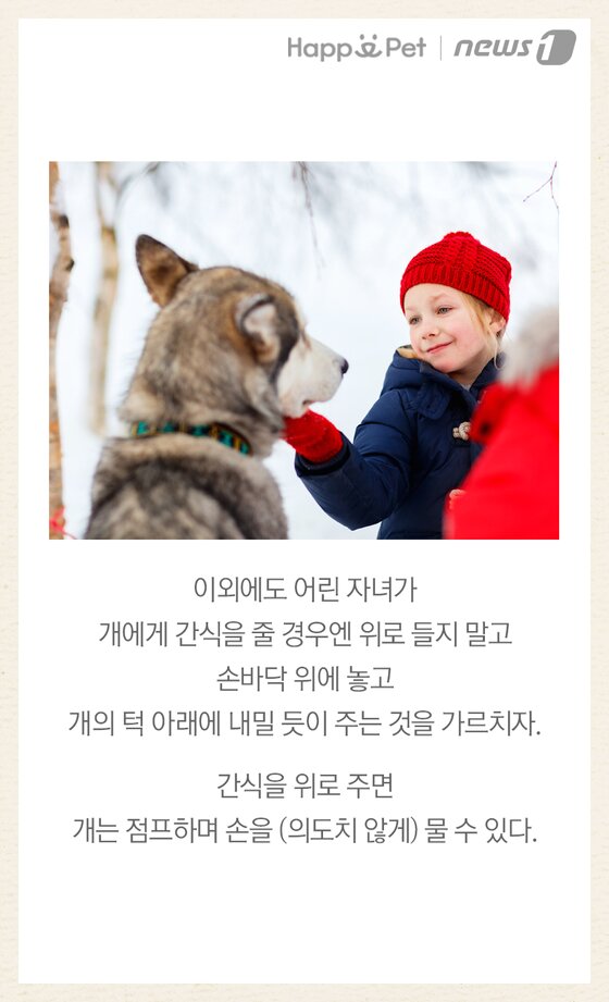 본문 이미지 -  