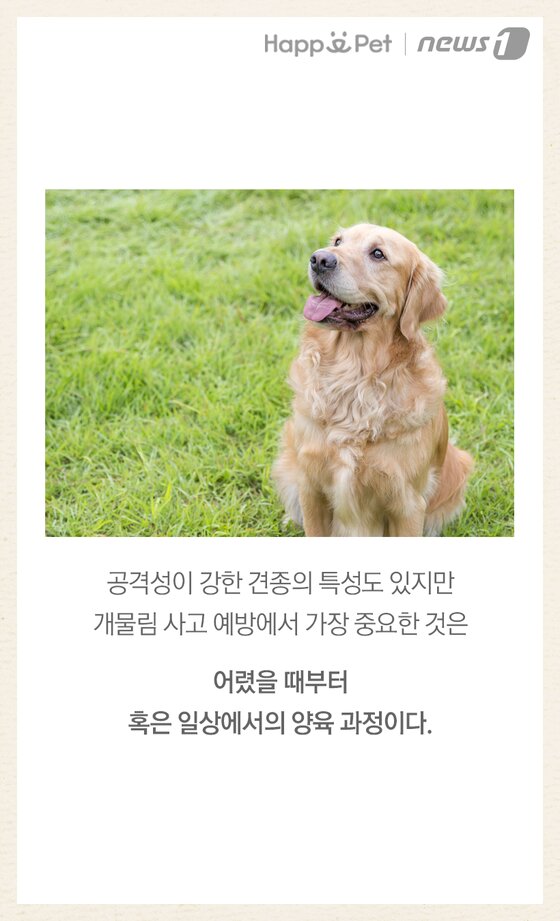 본문 이미지 -  