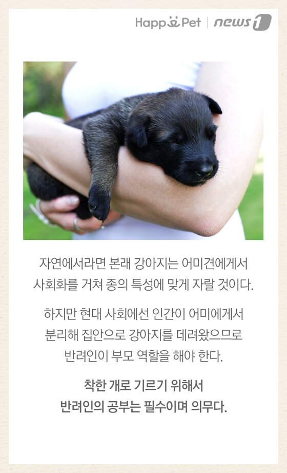 본문 이미지 -  
