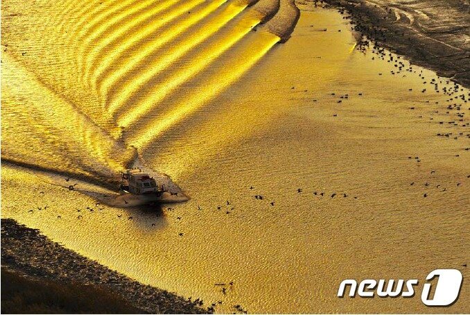 본문 이미지 - 전남 순천 갯벌ⓒ News1