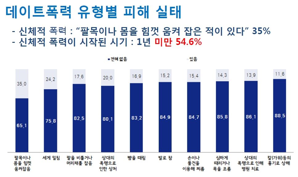 본문 이미지 - 서울시 데이트폭력 실태조사.(서울시 제공) ⓒ News1