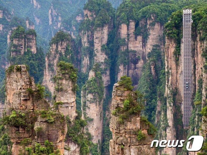 본문 이미지 - 장자제(장가계)의 최고의 풍경으로 꼽히는 원가계. 보물섬투어 제공.ⓒ News1