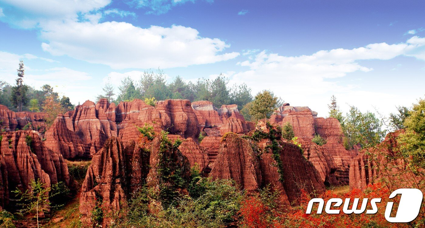 본문 이미지 - 기기묘묘한 붉은 바위들이 숲을 이루는 홍스린(홍석림). 보물섬투어 제공.ⓒ News1
