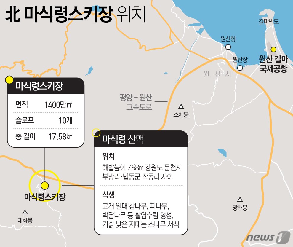 본문 이미지 - ⓒ News1 최진모 디자이너