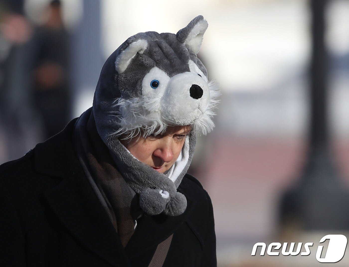 본문 이미지 - 3일(현지시간) 미국 워싱턴DC에서 한 남성이 모자를 쓰고 걸어가고 있다. ⓒ AFP=뉴스1
