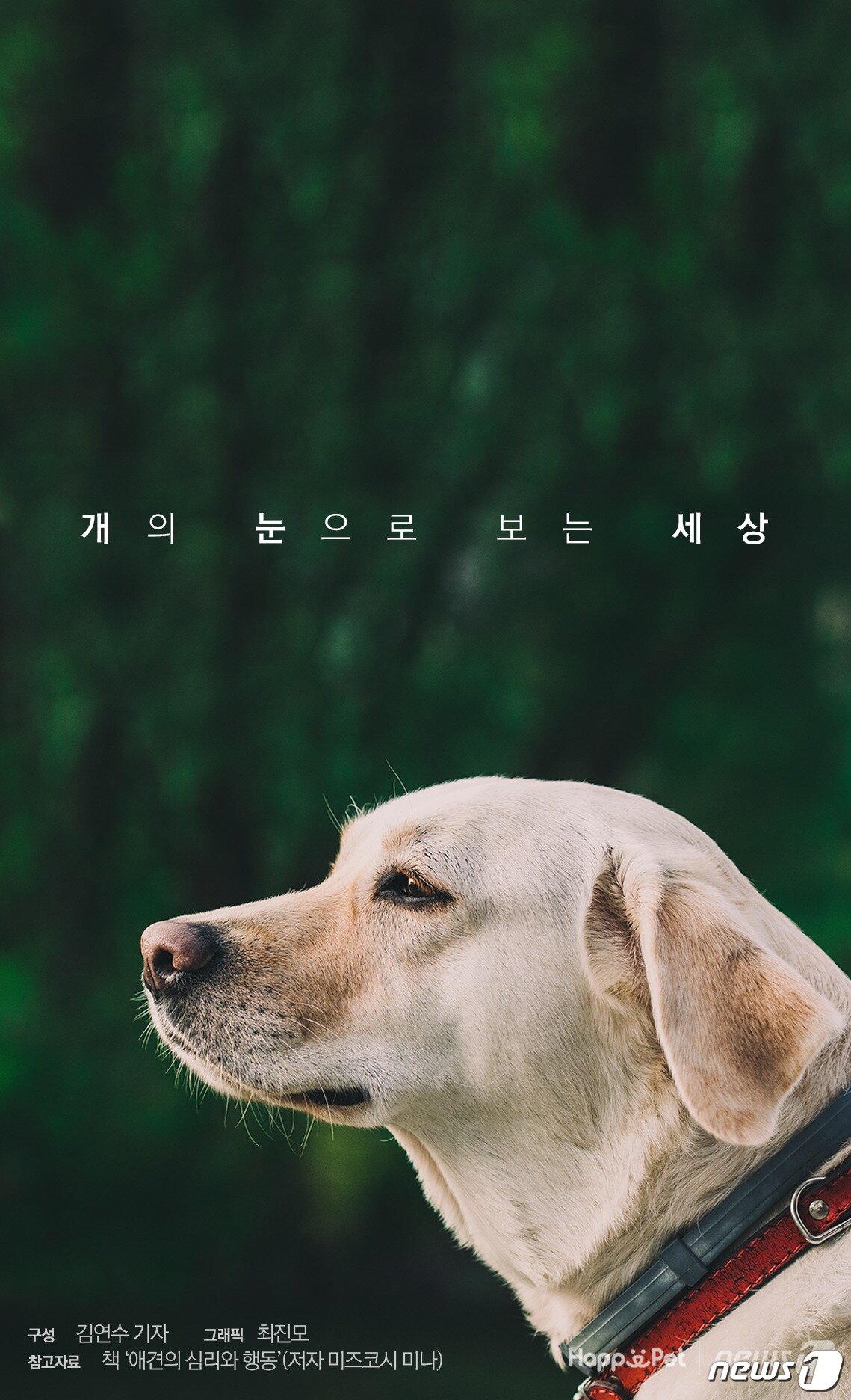 본문 이미지 -  