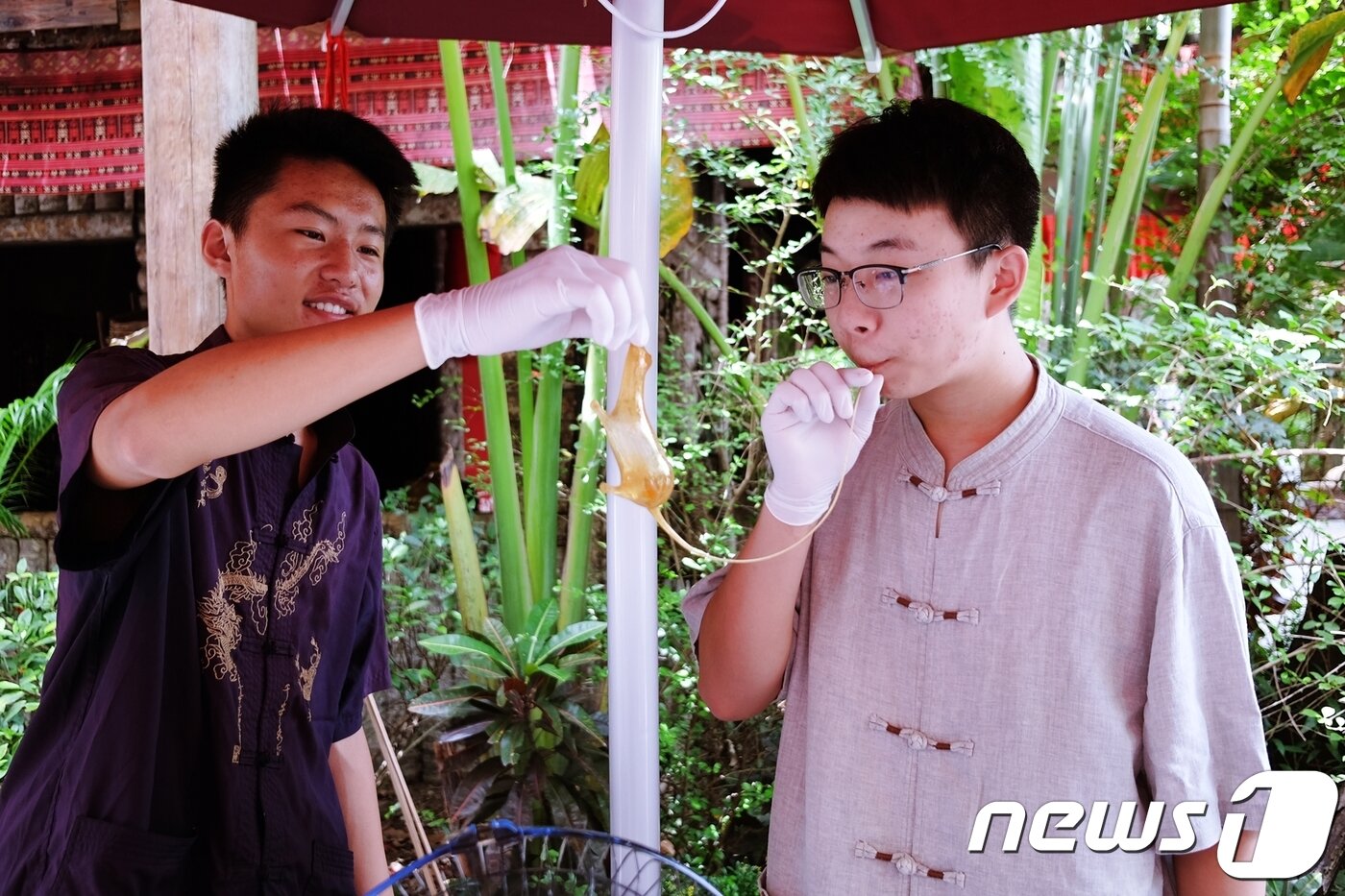 본문 이미지 - ⓒ News1 