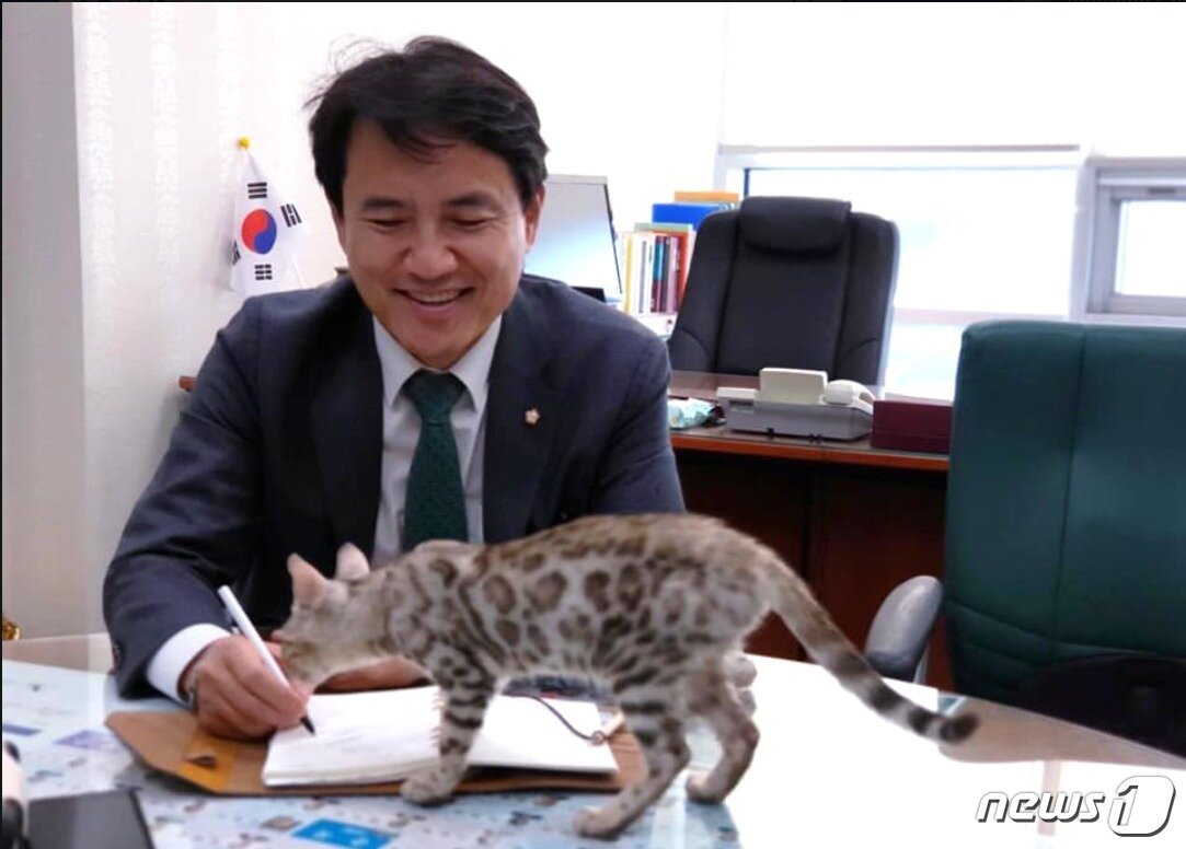 본문 이미지 - 김진태 자유한국당 의원 페이스북 캡처ⓒ News1