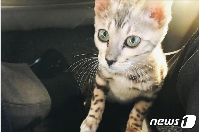 본문 이미지 - 김진태 자유한국당  의원 페이스북 캡처ⓒ News1