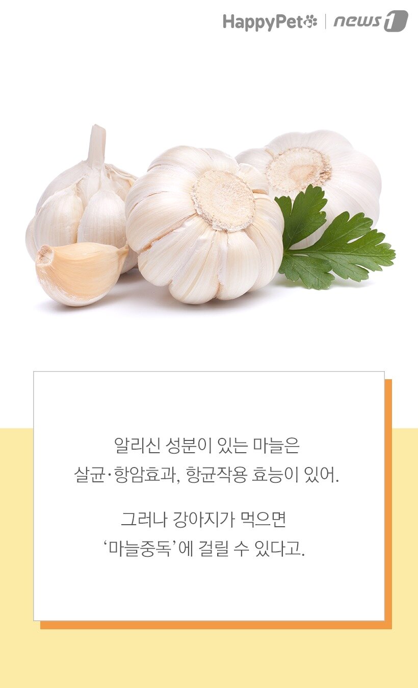 본문 이미지 -  