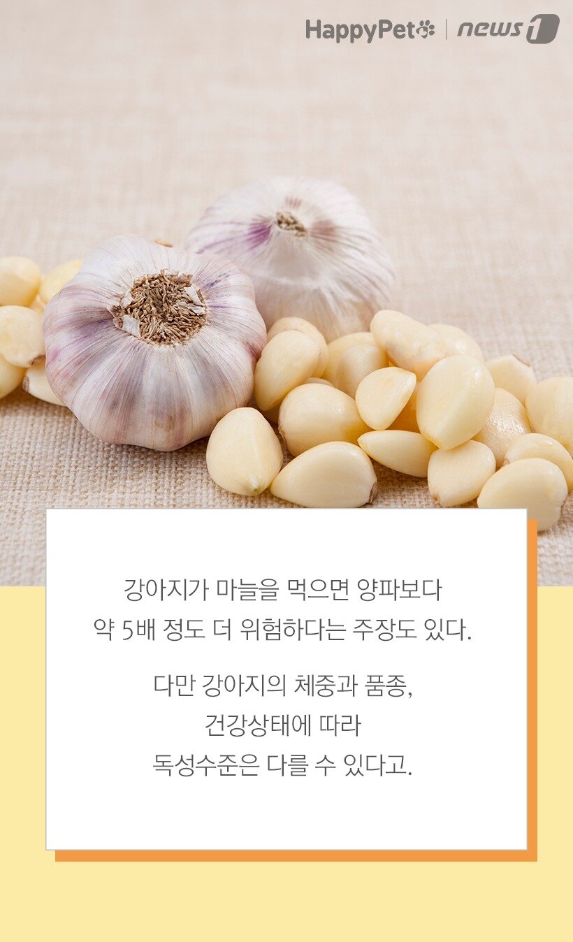 본문 이미지 -  