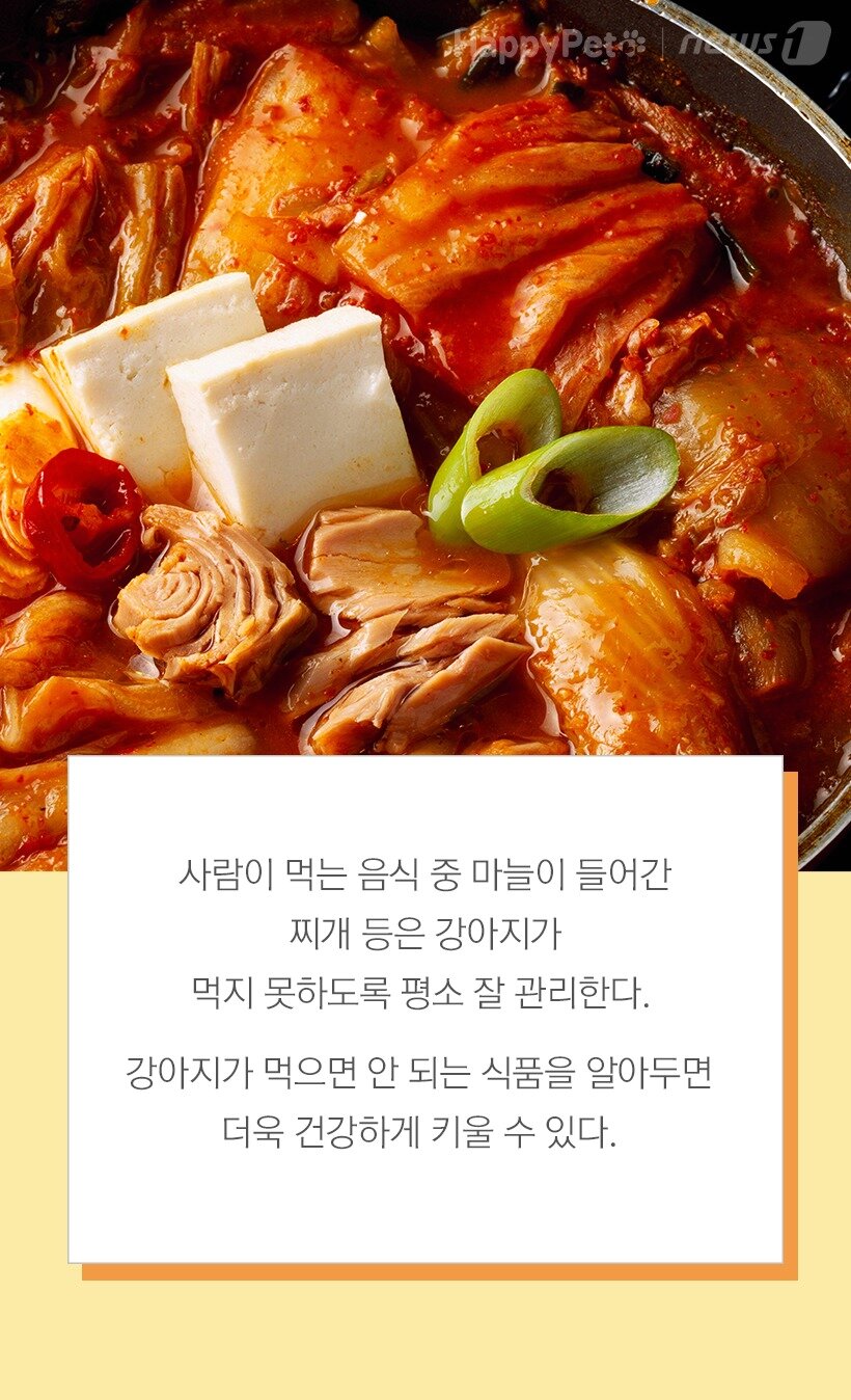 본문 이미지 -  