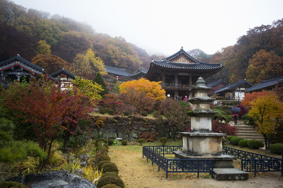 '많이 보기' 대신 '오래 머물기'…MZ가 찾는 영주 느린 여행
