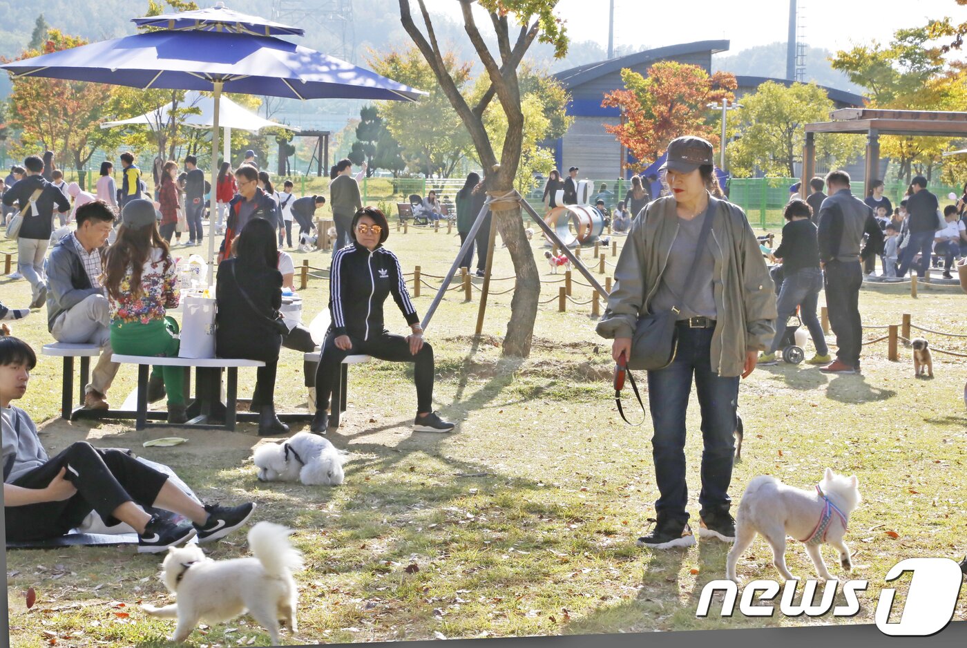 본문 이미지 - 21일 경북 구미시 동락공원 반려동물 놀이터서 열린 '제1회 구미 펫 페스티벌'에 참가한 반려인들이 반려견 놀이터에서 애완견의 목줄을 풀고 산책하고 있다.구미시는 지난달 동락공원에 2억원을 들여 4천300㎡ 공간에 경북도에서는 처음으로 반려견 놀이터를 조성해 반려견들이 목줄 없이 뛰놀 수 있도록 했다.2018.10.21/뉴스1 ⓒ News1 정우용 기자