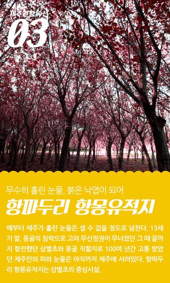 본문 이미지 - ⓒ News1