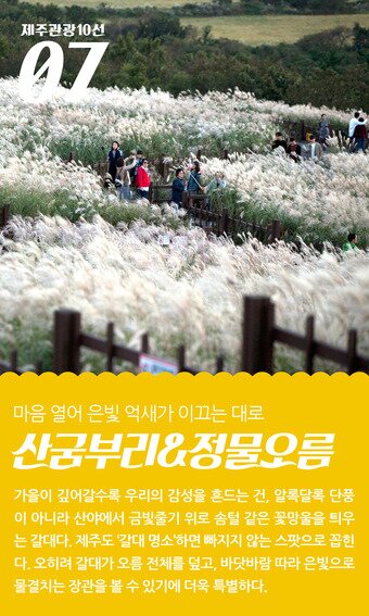 본문 이미지 - ⓒ News1