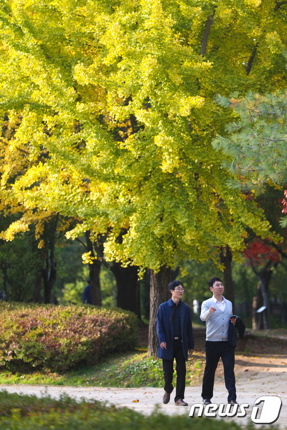 가을 산책 즐기는 시민들