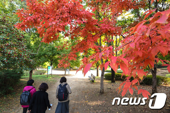 가을을 걷는 시민들