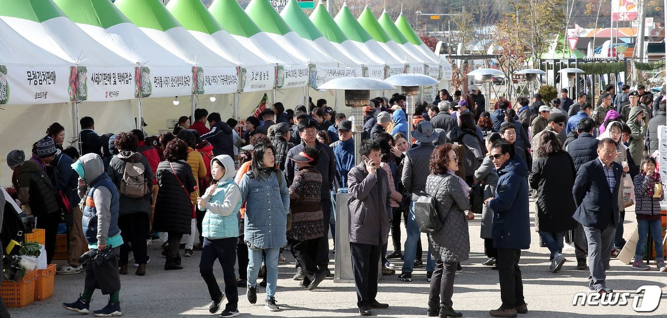 청춘양구 펀치볼 시래기축제 행사잔 자료사진./뉴스1 DB