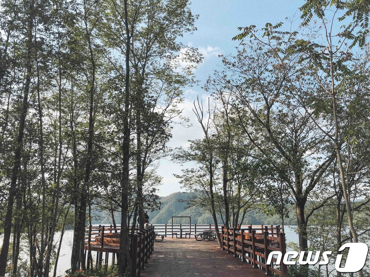 본문 이미지 - 횡성호수길(한국관광공사 제공)/뉴스1 ⓒ News1