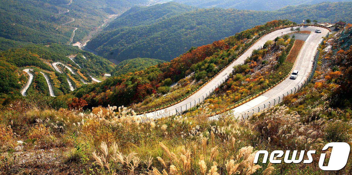 본문 이미지 - 29일 경북 영천시 보현산천문대 가는 길인 '천수누림길'에 억새와 단풍이 어루러져 멋진 조화를 이루고 있다(영천시제공)2018.10.29/뉴스1 ⓒ News1 정우용 기자
