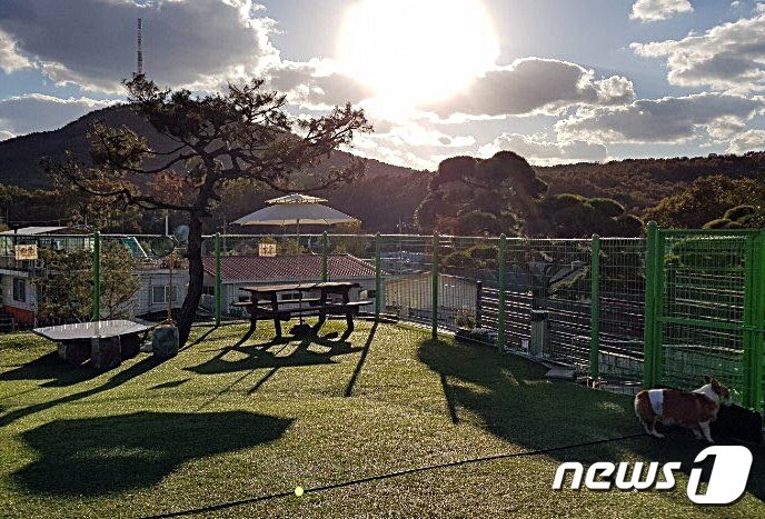 본문 이미지 - 펜션 이미지. 기사와 관련 없음ⓒ News1