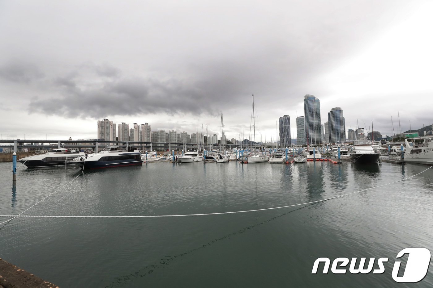 본문 이미지 - 부산 해운대구 수영만요트경기장에 요트들이 정박해 있다.ⓒ News1