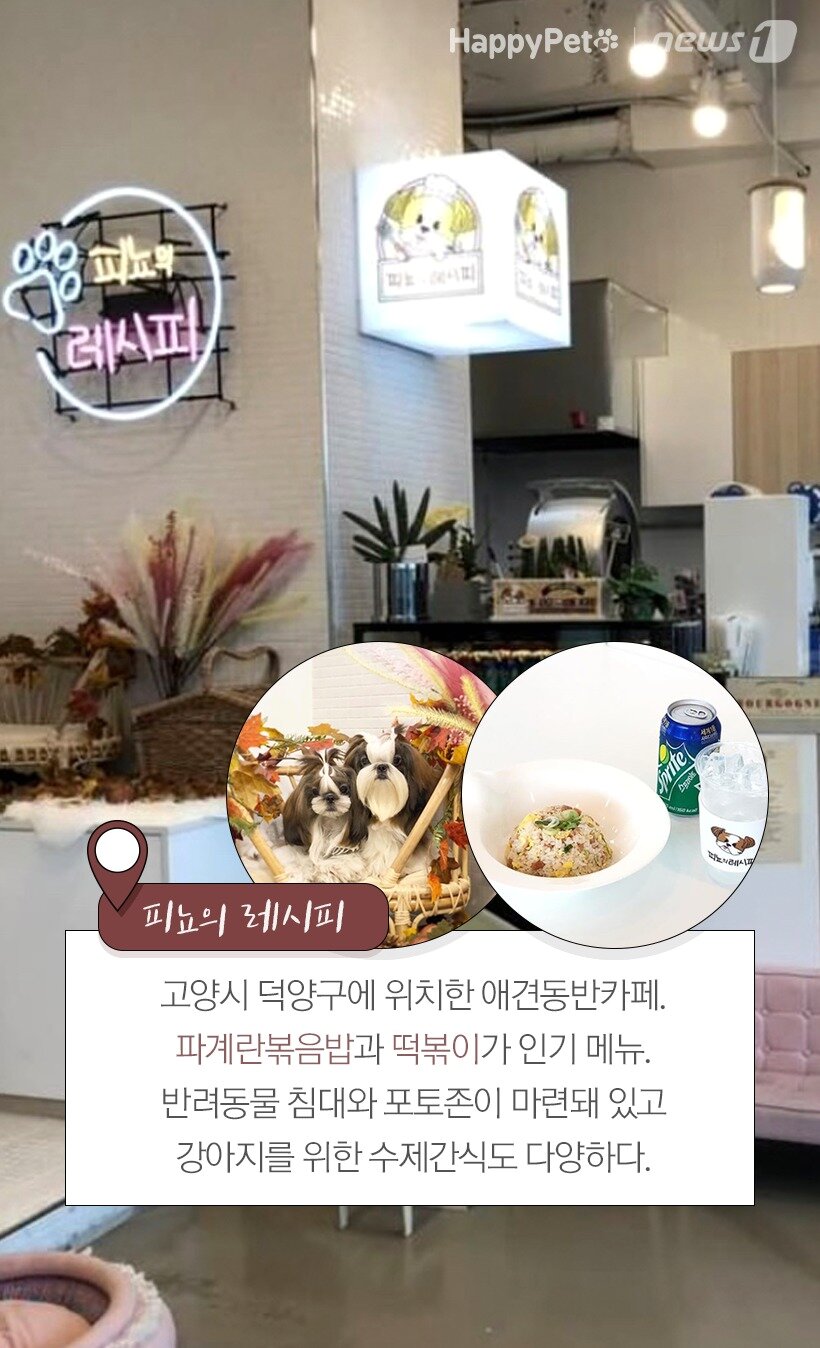 본문 이미지 -  피뇨의레시피