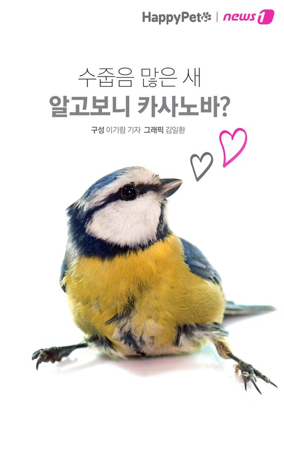 본문 이미지 -  