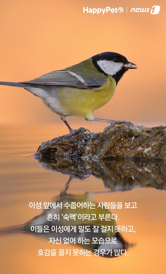 본문 이미지 -  