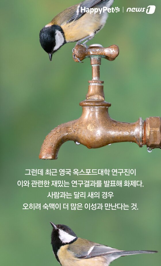 본문 이미지 -  
