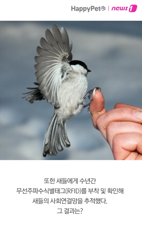본문 이미지 -  