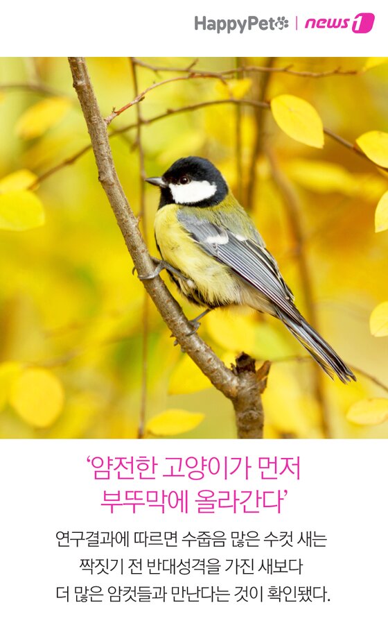 본문 이미지 -  