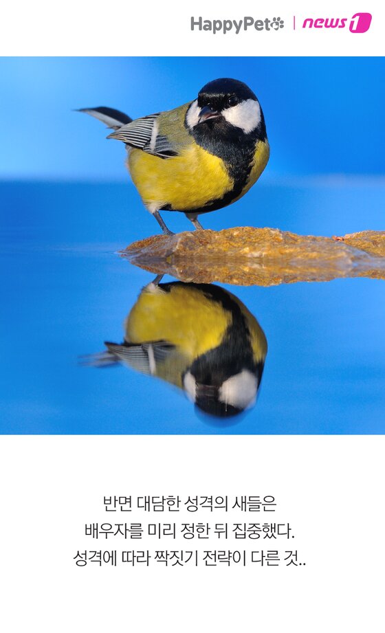 본문 이미지 -  