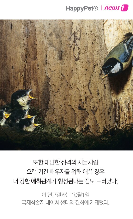 본문 이미지 -  