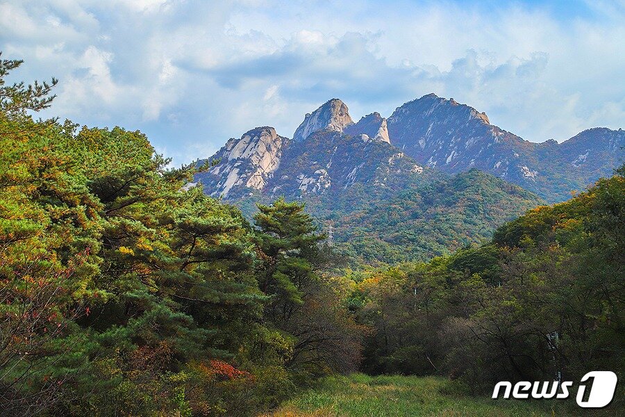본문 이미지 - 북한산 누리길(사진제공=경기관광공사)/ⓒ News1