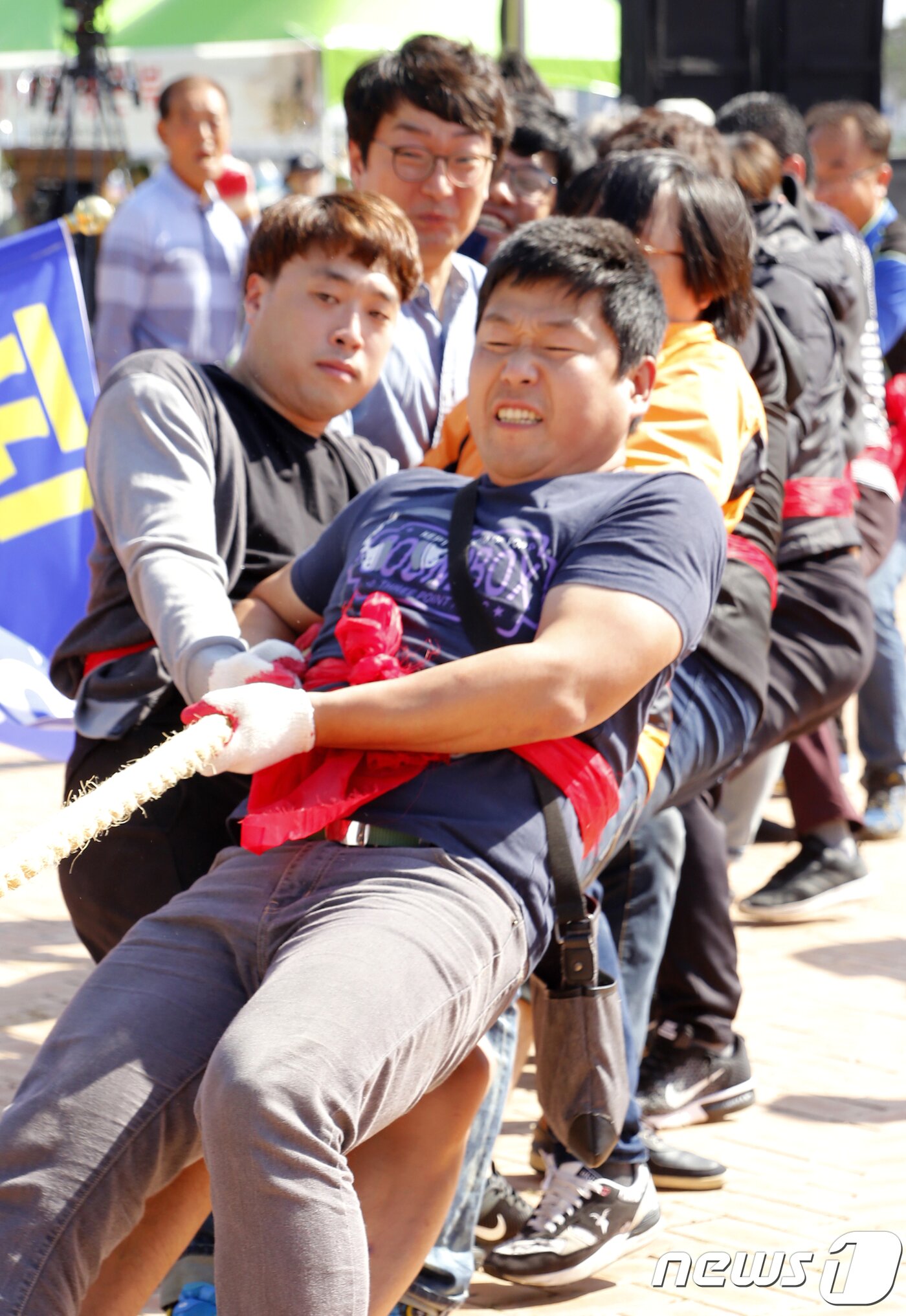본문 이미지 - 7일 경북 영천 강변공원 조양각 둔치에서 열린 제45회 영천문화예술제 각 읍면동별 줄다리기 대회에 참가한 주민들이 혼신의 힘을 다해 줄을 당기고 있다. 2018.10.7/뉴스1 ⓒ News1 정우용 기자