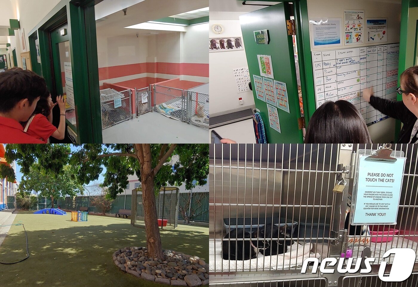 본문 이미지 - 개척자들팀이 탐방하고 온 미국 유기동물보호소 San Francisco Animal Care&Control 모습. ⓒ News1