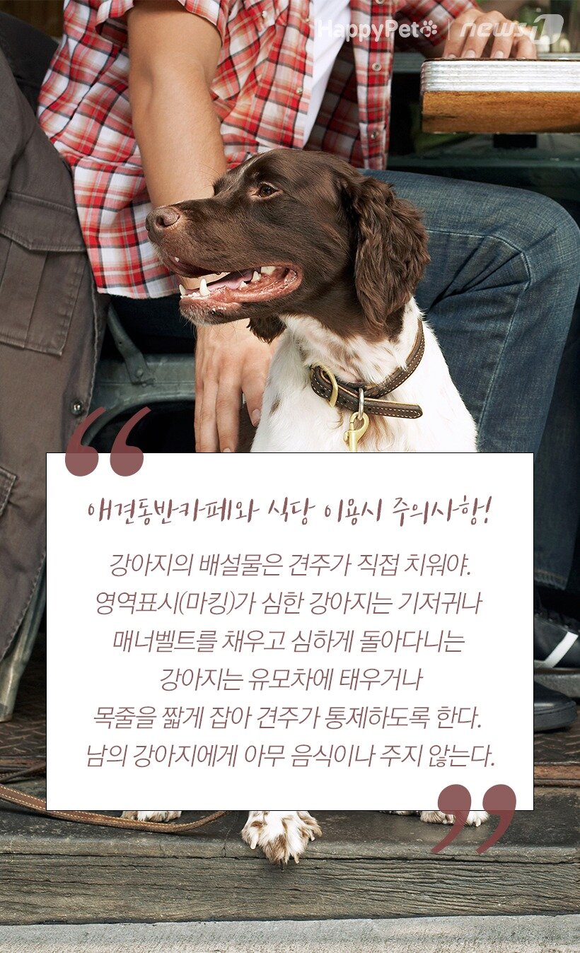 본문 이미지 -  